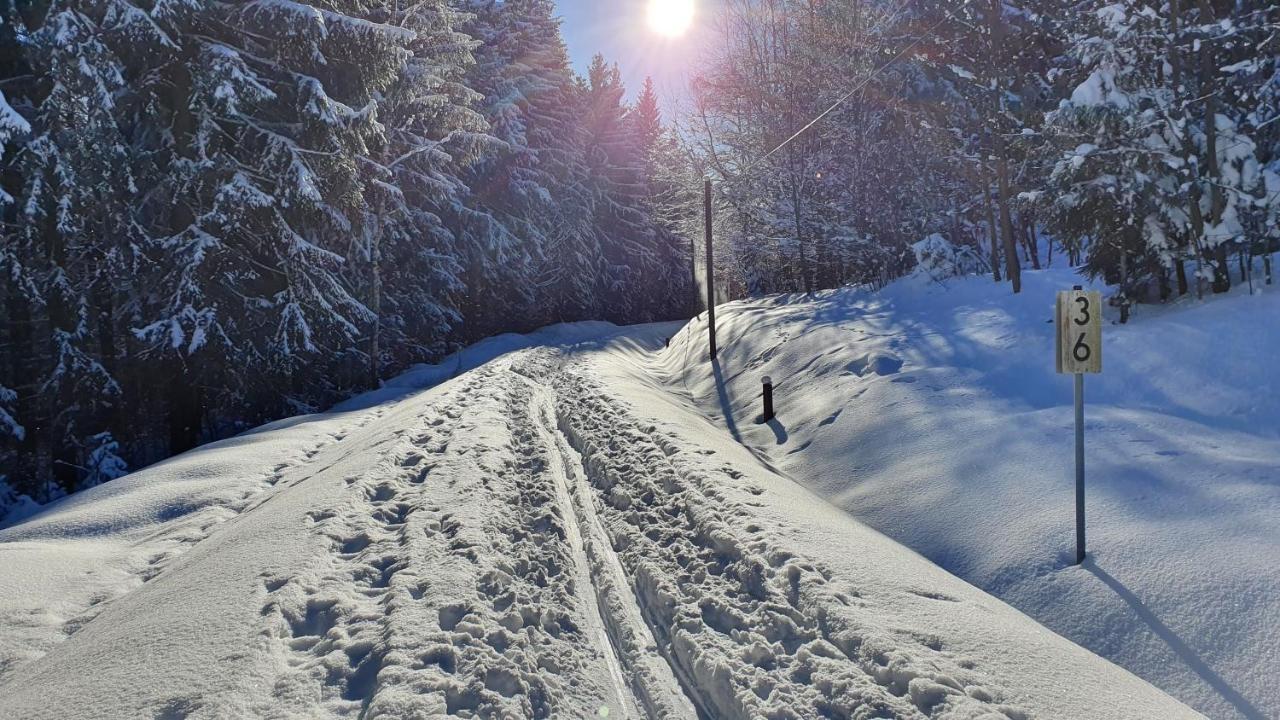شقة Waldhufenidyll Koenigswalde Im Erzgebirge Konigswalde المظهر الخارجي الصورة